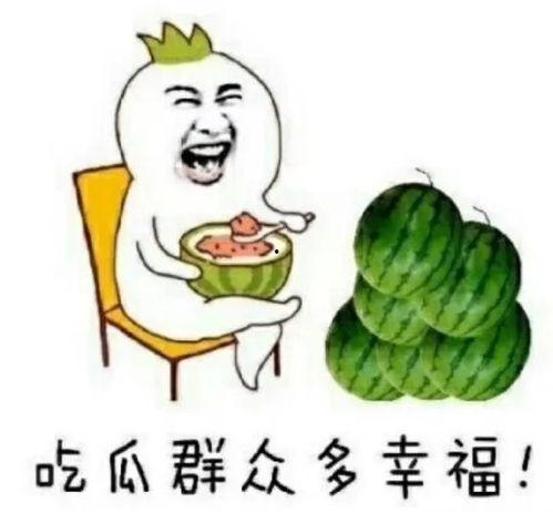 娱乐圈吃瓜用什么看,揭秘明星动态,轻松掌握娱乐热点