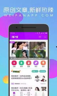 娱乐吃瓜酱手机设置在哪,娱乐吃瓜酱手机设置背后的秘密